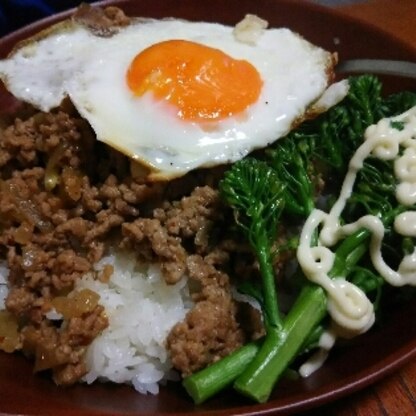 普通のそぼろ丼だと飽きられてしまうので、ガパオライスにしました！家族にも好評でした。美味しかったです☆